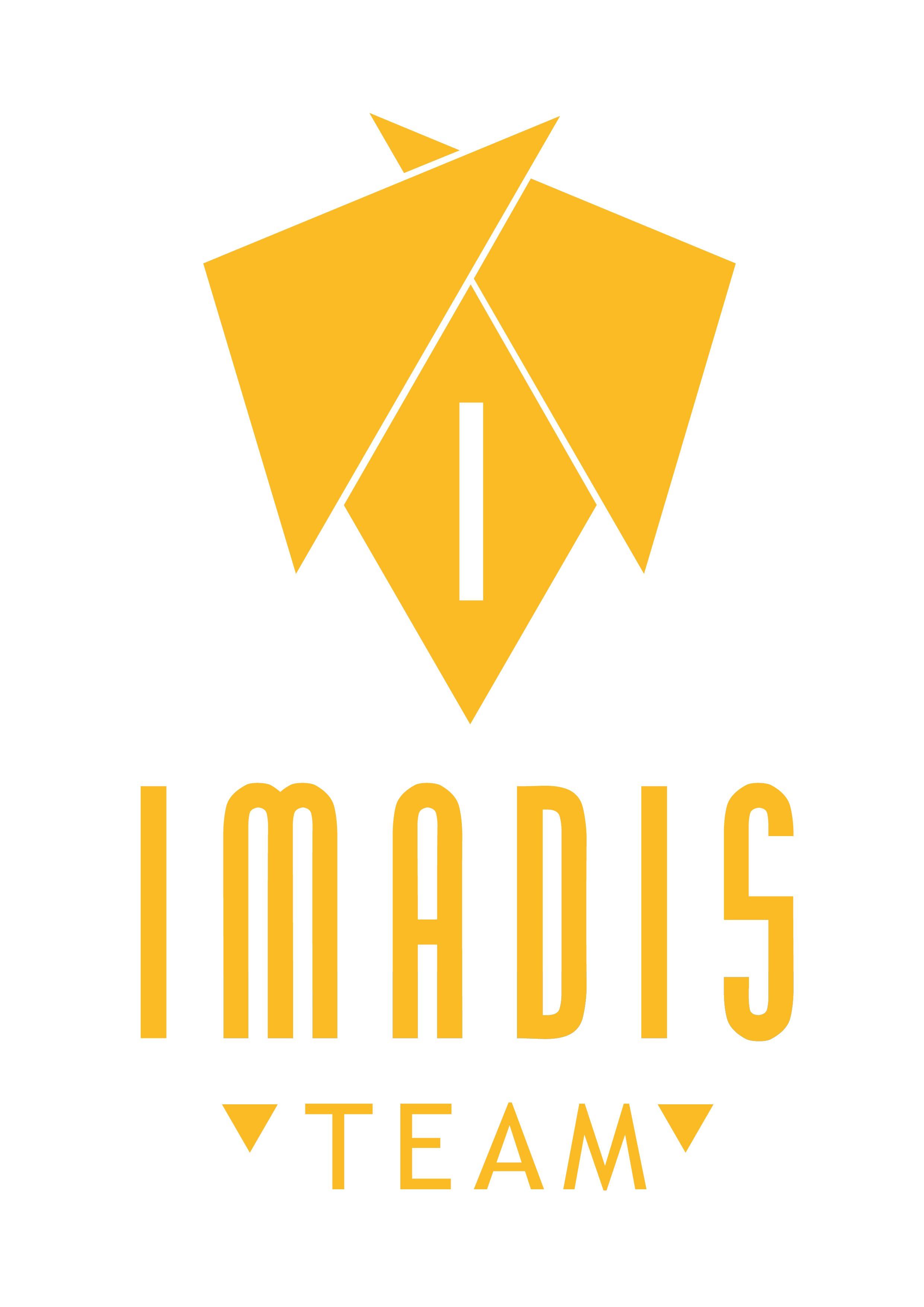 Logo Imadis Team