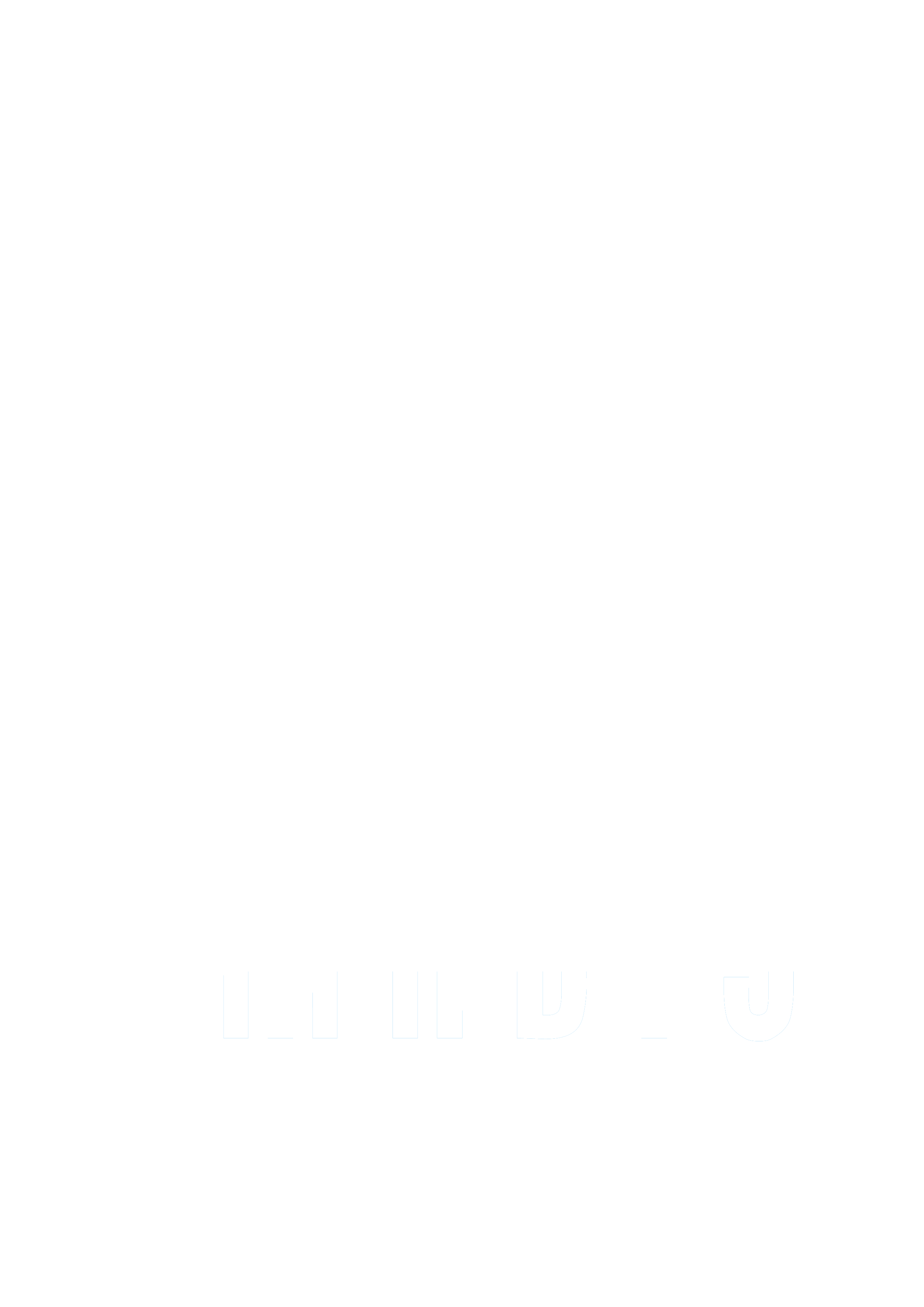 Logo Imadis Team