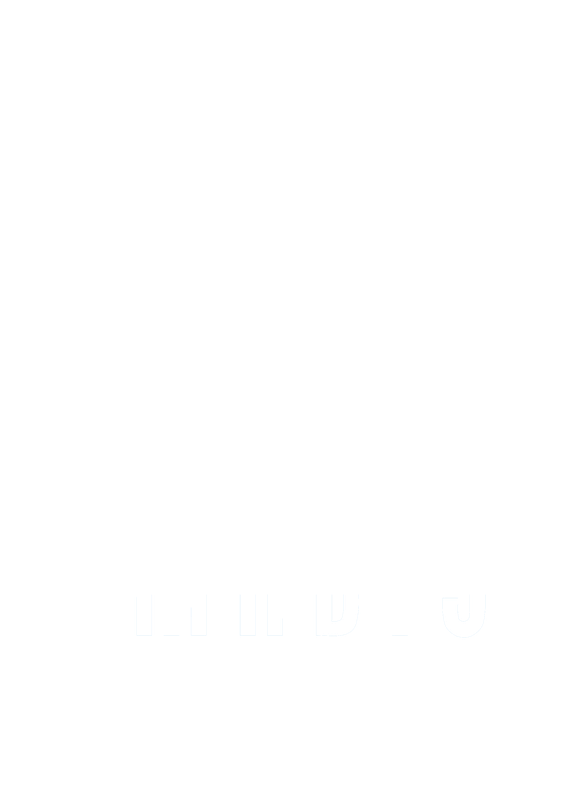Logo Imadis Team